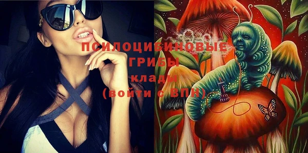 бошки Армянск