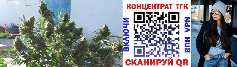 Дистиллят ТГК Wax  Сосенский 